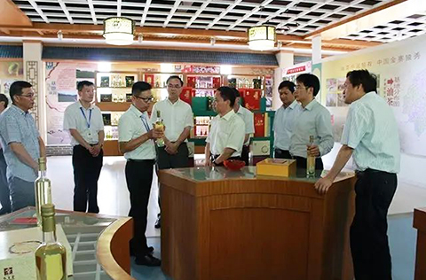 省長(zhǎng)李國(guó)英調(diào)研東旭大別山